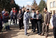 گزارش تصویری از آئیین درختکاری و تقدیر ازهمکاران فضای سبز دانشگاه